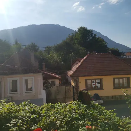 Happy With Mountain View Zarnesti