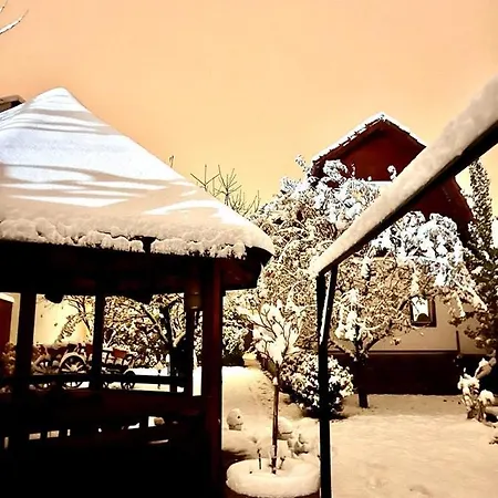 Happy With Mountain View Holiday home Zarnesti
